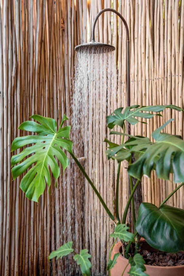 Pousada Hayo Pe Na Areia Caraíva Exterior foto